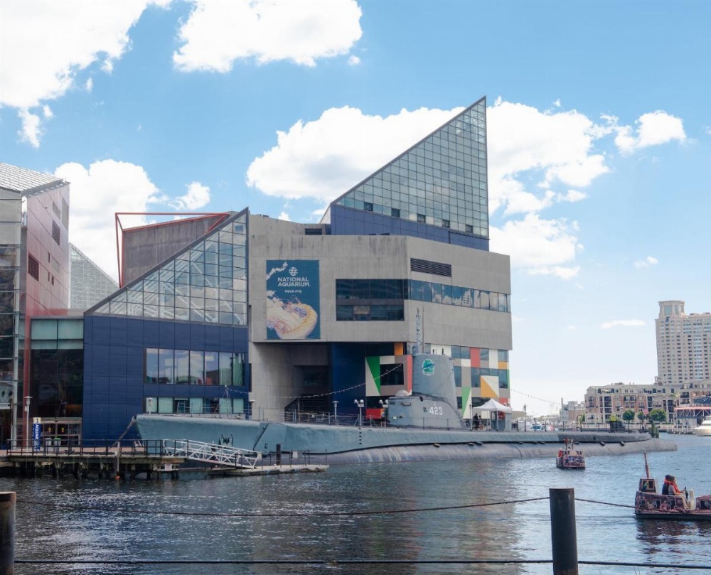 Crowne Plaza Baltimore Dwntn Inner Harbor Imagen 23